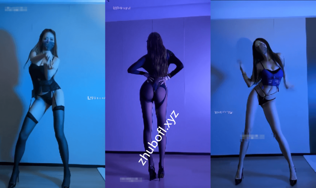 抖音主播@爱跳舞的小野猫 定制情趣热舞55V/864M